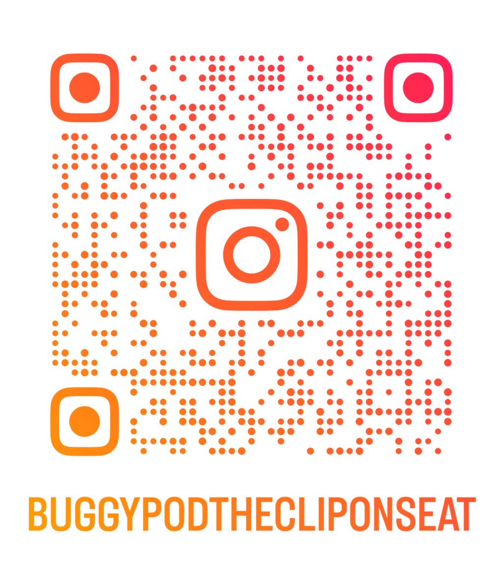 Buggypod Insta QR Code